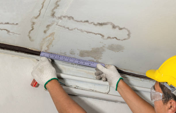 Reliable Mold Remediation contractor in Buffalo, OH by Water Damage Irwin